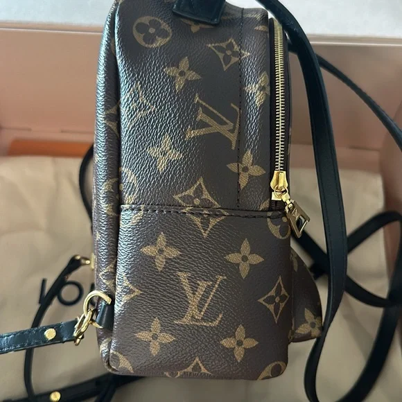 Louis Vuitton Palm Springs Mini Backpack - Picture 4 of 5